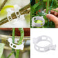 Plant Support Clips